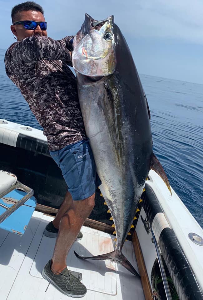 Sailfish at the Flamingo Marina