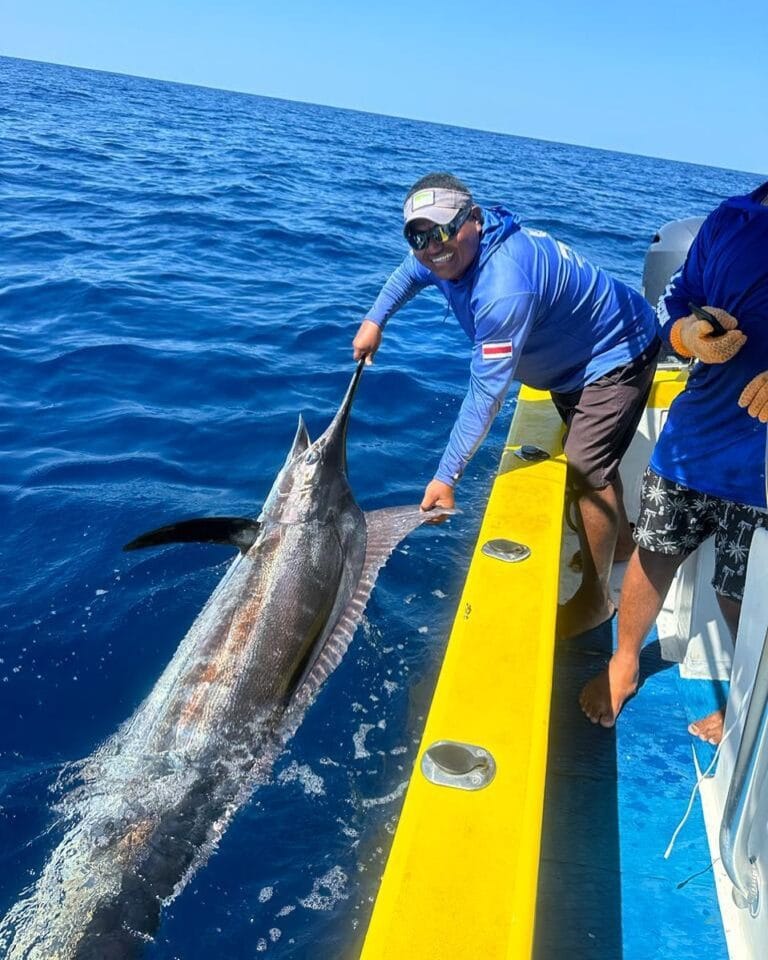 Fishing Charters Sailfish Potrero