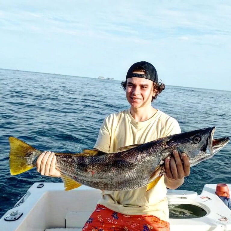 Sea Bass Costa Rica