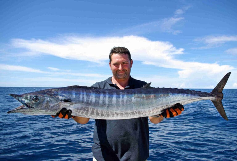 Wahoo Costa Rica
