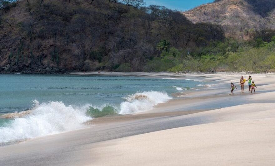 Local Beach Exploration What to do in Playa Potrero with Fish Potrero.