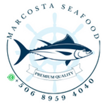 Marcosta Seafood Playa Potrero Fishing