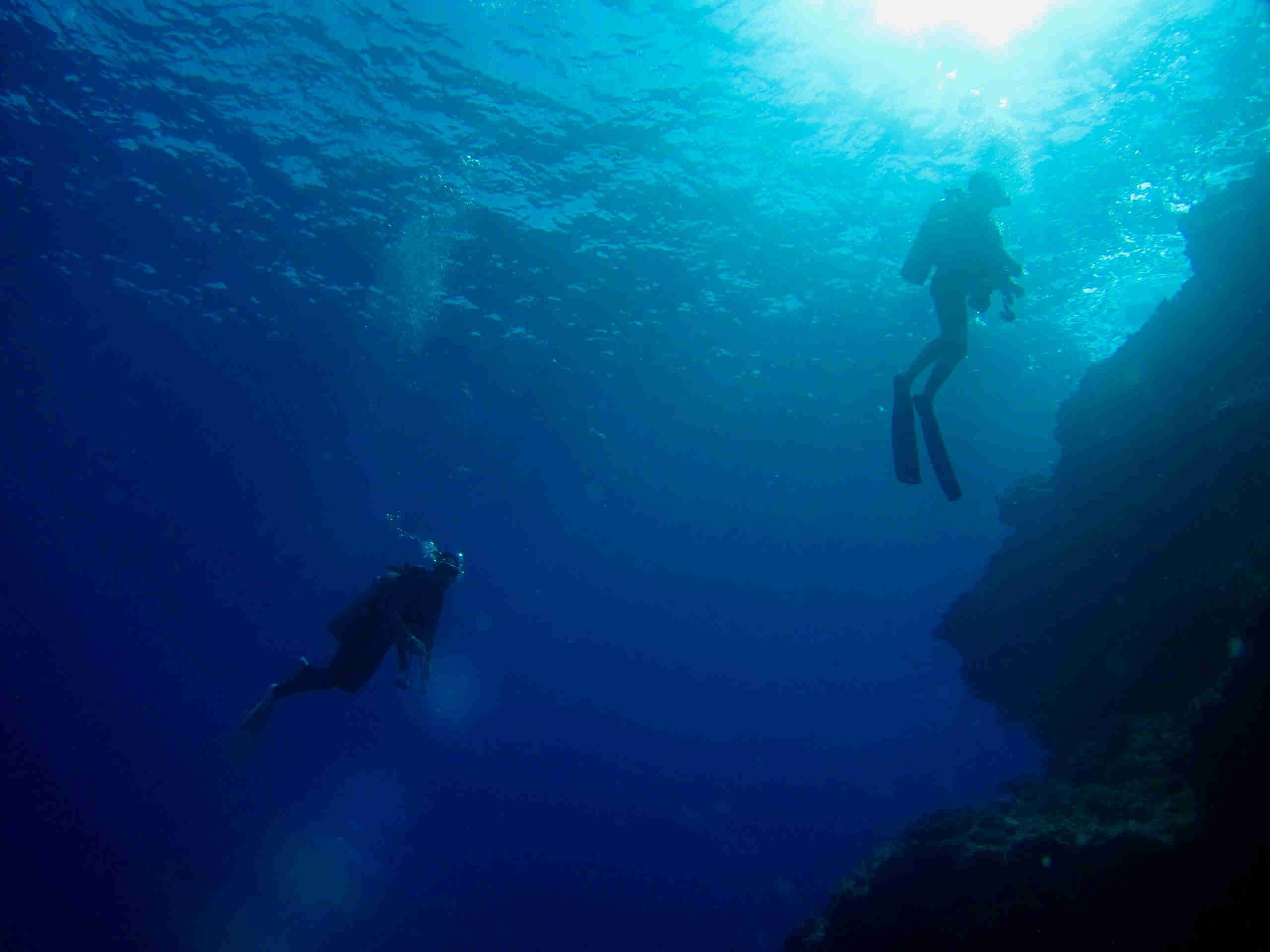 Divers in dark waters looking to breach the surface of the Pacific Ocean in Flamingo Costa Rica
