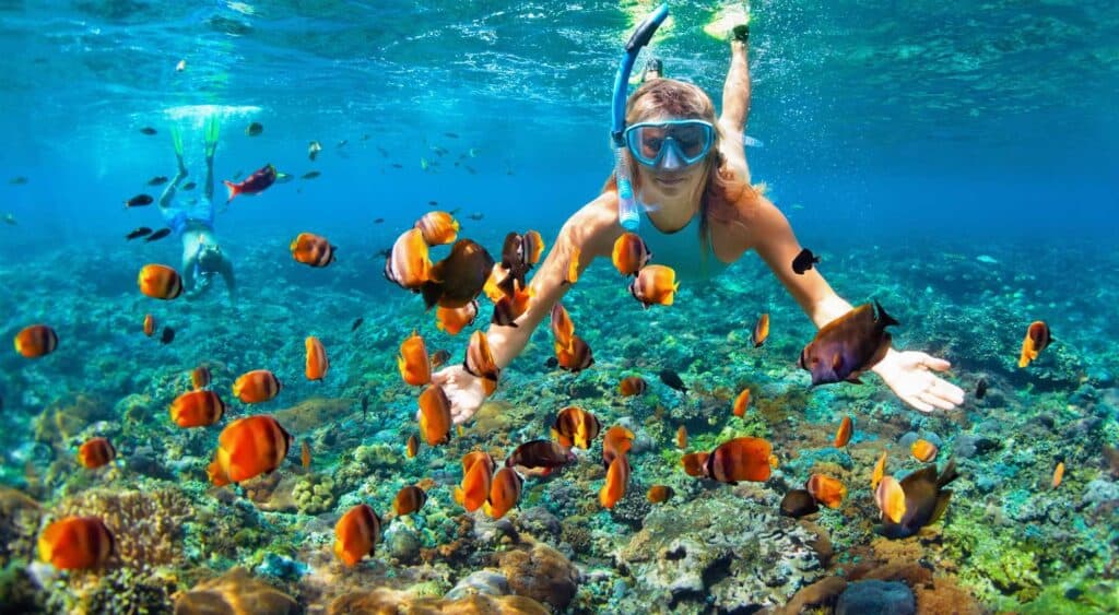 Snorkeling with a school of fish off of the coast of Playa Potrero Guanacaste