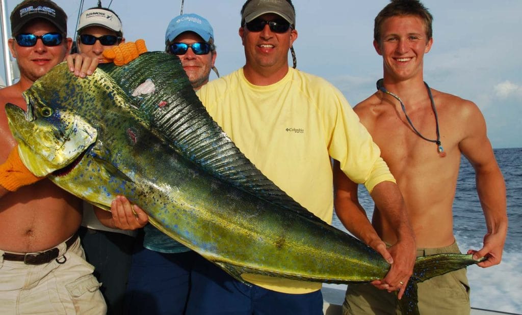 Group of anglers holding Mahi Mahi caught off the shore of Playa Potrero / Playa Flamingo in Guanacaste Costa Rica