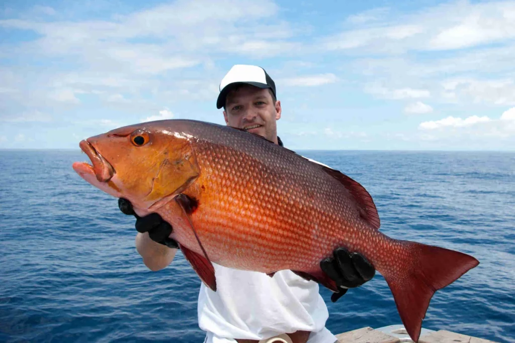 Angler with a large cubera snapper caught inshore on a Playa Potrero fishing charter, Costa Rica