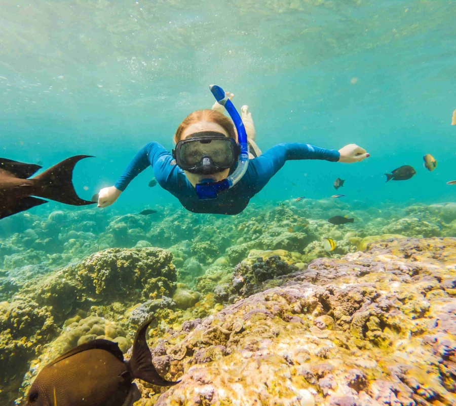 Snorkeler exploring the coral reef and tropical fish at the Catalina Islands near Playa Potrero, Guanacaste