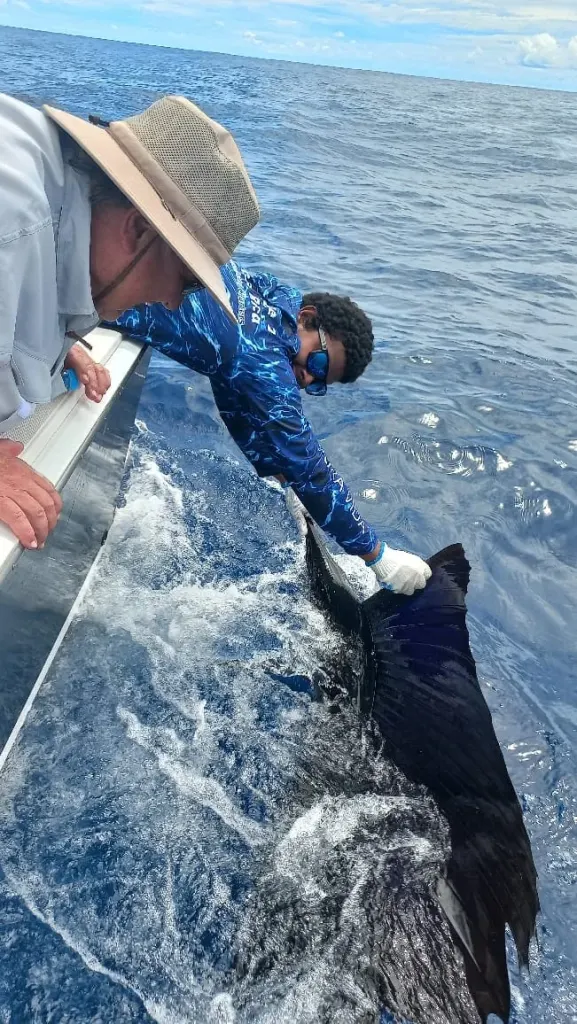 A local captain and a young angler releasing a sailfish boatside on a Fish Potrero charter
