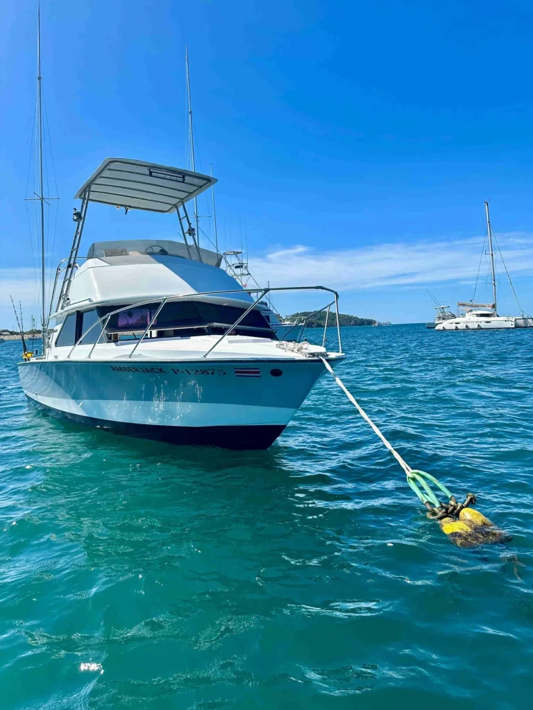 The Amberjack, a 28-foot Bertram sportfishing yacht, anchored off Playa Flamingo, Costa Rica