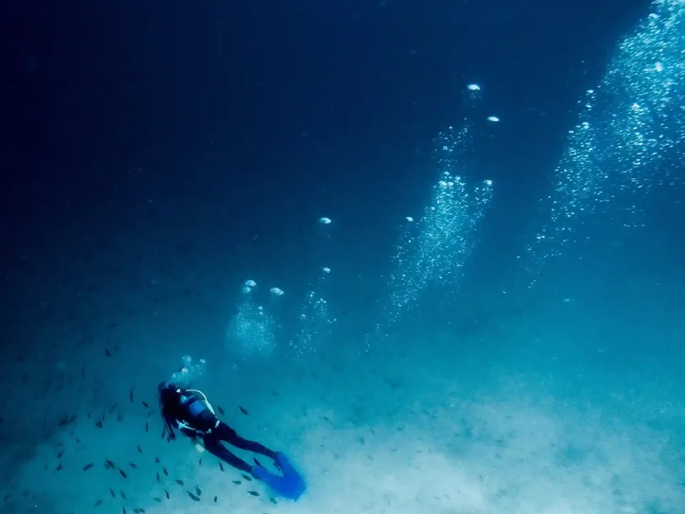 A scuba diver swimming above a sandy bottom among small fish in the clear blue water off Playa Potrero, Guanacaste, Costa Rica