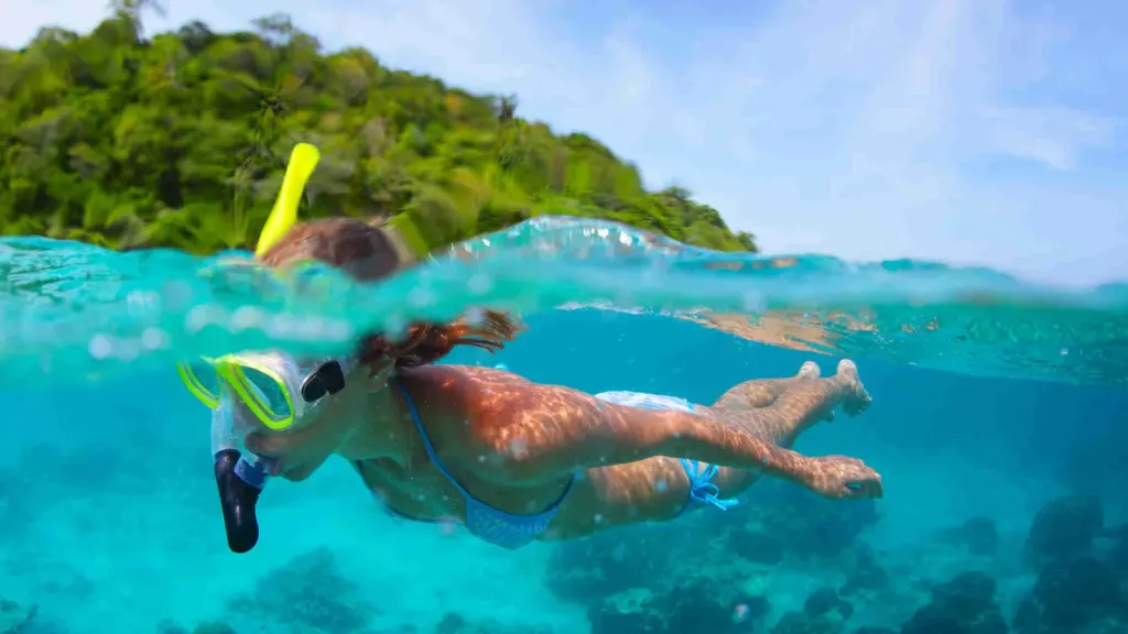 Over-under split view of a snorkeler at the surface with a green tropical hillside above and coral reef below in Playa Potrero, Costa Rica