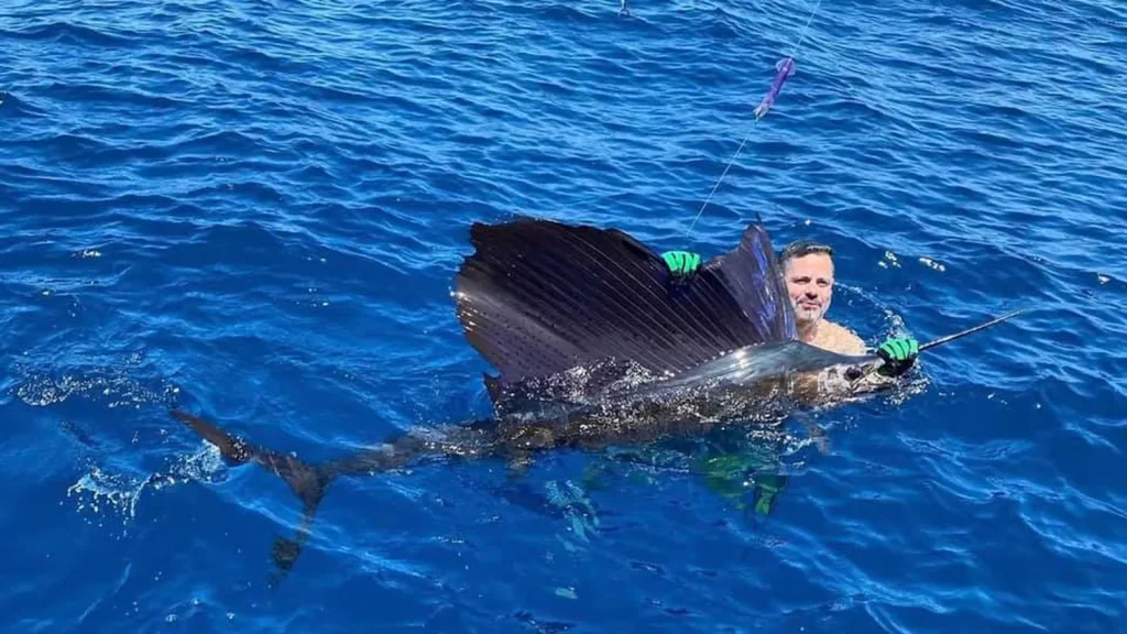 Sailfish leaping alongside a Wetass II fishing charter off Playa Potrero, Costa Rica
