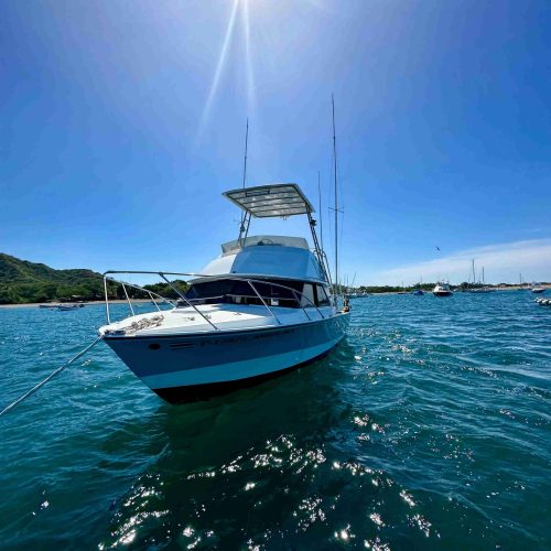 Amberjack Boat Ocean Shot
