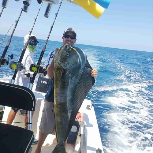 Mahi Mahi Flamingo Marina