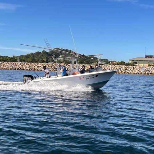 Snorkeling Charters Costa Rica Sea Hunt