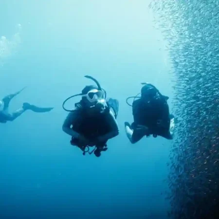 deep-diver-2 Divers surrounded by a school of fish in Playa Potrero Costa Rica
