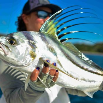 Roosterfish being held by angler who was fishing for roosterfish in Playa Flamingo Costa Rica